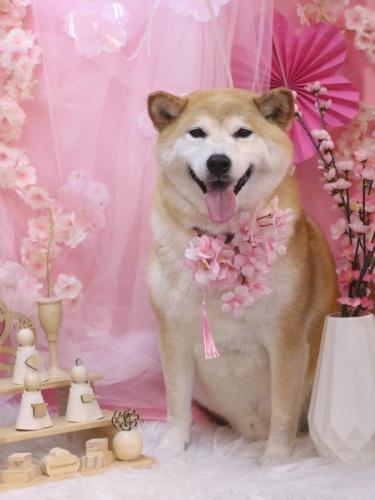 20250325平太くん